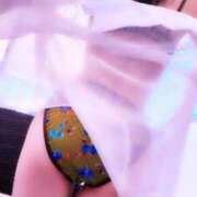 ヒメ日記 2025/08/28 15:27 投稿 三日月ひかる コウテイ