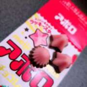 ヒメ日記 2025/11/14 08:35 投稿 三日月ひかる コウテイ