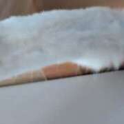 ヒメ日記 2025/11/17 08:13 投稿 三日月ひかる コウテイ