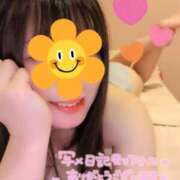 ヒメ日記 2025/11/23 21:25 投稿 三日月ひかる コウテイ