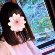 ヒメ日記 2025/12/04 22:21 投稿 三日月ひかる コウテイ