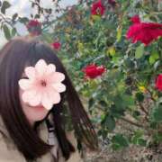 ヒメ日記 2025/12/29 21:45 投稿 三日月ひかる コウテイ