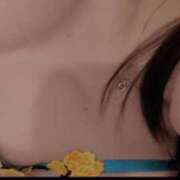 ヒメ日記 2026/01/24 13:01 投稿 三日月ひかる コウテイ