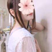 ヒメ日記 2026/02/23 08:20 投稿 三日月ひかる コウテイ