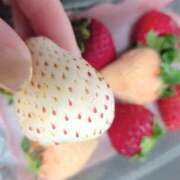 ヒメ日記 2026/03/04 08:23 投稿 三日月ひかる コウテイ