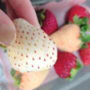 ヒメ日記 2026/03/04 08:34 投稿 三日月ひかる コウテイ