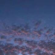 ヒメ日記 2026/07/14 08:36 投稿 三日月ひかる コウテイ