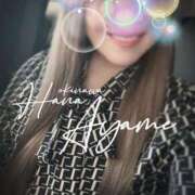 ヒメ日記 2024/12/12 14:49 投稿 下地 あやめ HANA-okinawa-