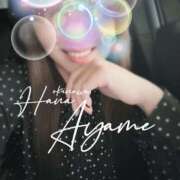 ヒメ日記 2024/12/14 14:48 投稿 下地 あやめ HANA-okinawa-