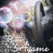 ヒメ日記 2025/02/14 11:49 投稿 下地 あやめ HANA-okinawa-