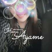 ヒメ日記 2025/02/25 14:49 投稿 下地 あやめ HANA-okinawa-