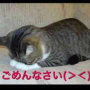 よしの 残念… 成田人妻花壇