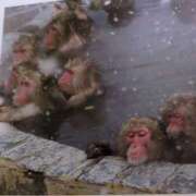 ヒメ日記 2025/01/23 19:19 投稿 みいな 成田人妻花壇