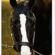 ヒメ日記 2025/02/16 11:17 投稿 みいな 成田人妻花壇