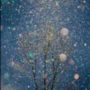 ヒメ日記 2025/03/05 09:38 投稿 みいな 成田人妻花壇