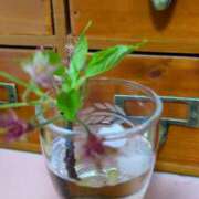 ヒメ日記 2025/04/07 21:48 投稿 みいな 成田人妻花壇