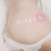 ヒメ日記 2025/09/07 09:35 投稿 みいな 成田人妻花壇