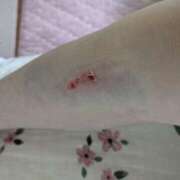 ヒメ日記 2025/09/19 14:35 投稿 みいな 成田人妻花壇