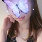 ヒメ日記 2026/03/21 12:16 投稿 みいな 成田人妻花壇