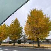 ヒメ日記 2025/11/26 15:16 投稿 えみ 成田人妻花壇