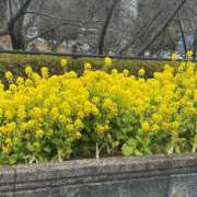 ヒメ日記 2026/02/22 12:16 投稿 えみ 成田人妻花壇