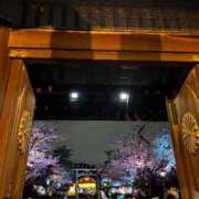 ヒメ日記 2026/04/02 16:26 投稿 えみ 成田人妻花壇