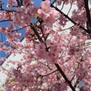 ヒメ日記 2025/03/02 14:49 投稿 もえ 成田人妻花壇