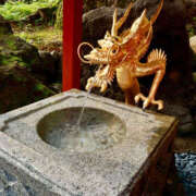 ヒメ日記 2025/05/20 12:40 投稿 はんな ドリーム水戸