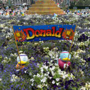 ヒメ日記 2025/06/26 11:20 投稿 はんな ドリーム水戸