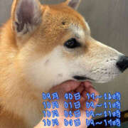 ヒメ日記 2025/09/23 10:20 投稿 はんな ドリーム水戸