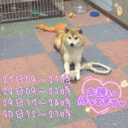 はんな 2025年最後！ ドリーム水戸