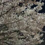 ヒメ日記 2026/04/19 01:10 投稿 はんな ドリーム水戸