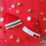 ヒメ日記 2024/12/11 16:15 投稿 南 おりな 京都ホットポイント