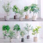 ヒメ日記 2025/02/26 17:47 投稿 南 おりな 京都ホットポイント