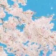 ヒメ日記 2025/03/04 16:29 投稿 南 おりな 京都ホットポイント