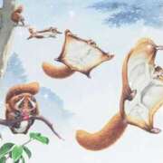 ヒメ日記 2025/03/12 13:02 投稿 南 おりな 京都ホットポイント