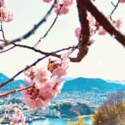 ヒメ日記 2025/03/13 19:51 投稿 南 おりな 京都ホットポイント