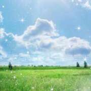 ヒメ日記 2025/03/22 14:06 投稿 南 おりな 京都ホットポイント