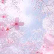 ヒメ日記 2025/03/23 12:02 投稿 南 おりな 京都ホットポイント