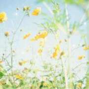 ヒメ日記 2025/03/24 16:20 投稿 南 おりな 京都ホットポイント