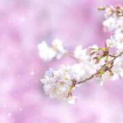 ヒメ日記 2025/03/28 15:17 投稿 南 おりな 京都ホットポイント