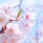 ヒメ日記 2025/04/02 16:39 投稿 南 おりな 京都ホットポイント