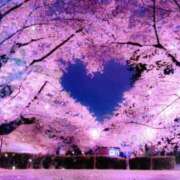 ヒメ日記 2025/04/03 12:31 投稿 南 おりな 京都ホットポイント