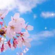 ヒメ日記 2025/04/05 18:23 投稿 南 おりな 京都ホットポイント