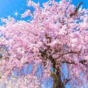 ヒメ日記 2025/04/10 13:14 投稿 南 おりな 京都ホットポイント