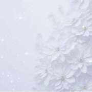 ヒメ日記 2025/04/10 20:14 投稿 南 おりな 京都ホットポイント