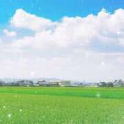 ヒメ日記 2025/04/22 14:49 投稿 南 おりな 京都ホットポイント