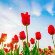 ヒメ日記 2025/05/08 13:07 投稿 南 おりな 京都ホットポイント