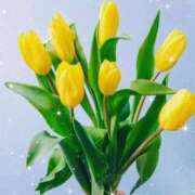 ヒメ日記 2025/05/21 20:43 投稿 南 おりな 京都ホットポイント