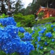 ヒメ日記 2025/05/24 13:22 投稿 南 おりな 京都ホットポイント